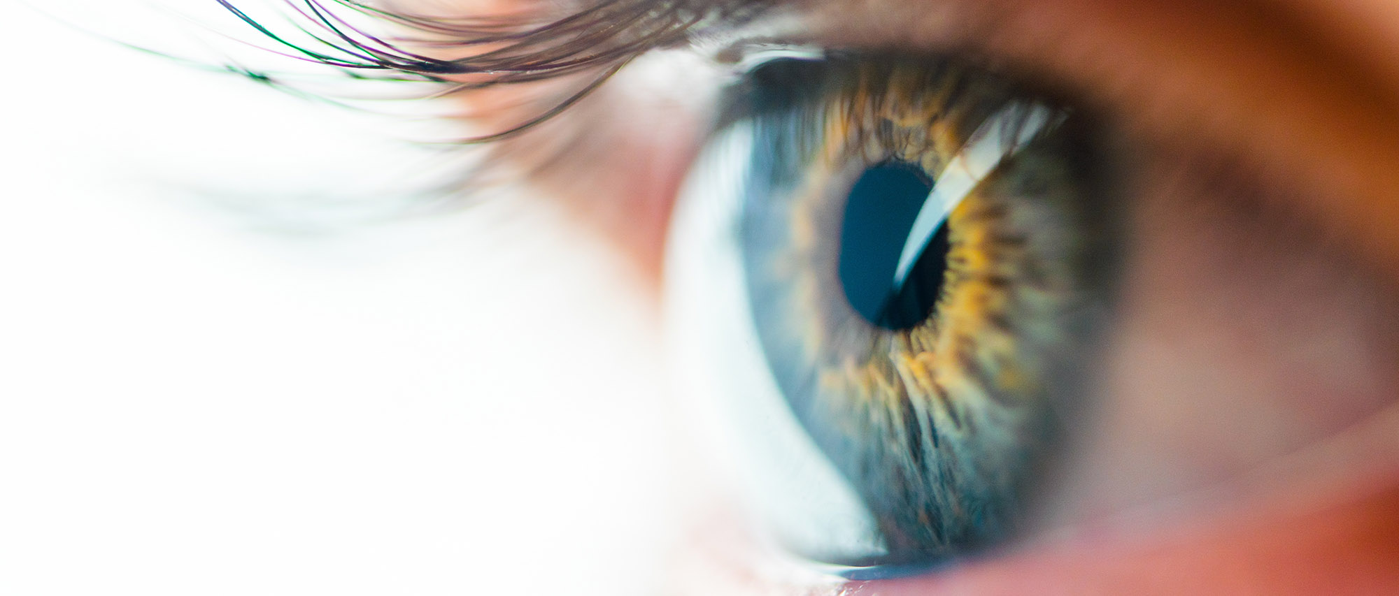 Beautiful Human Eye with Long Eyelashes Macro View. Amazing View of Iris Close-Up